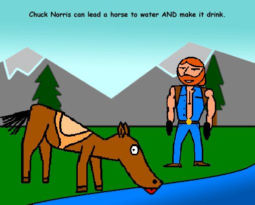 chuck-horse.gif